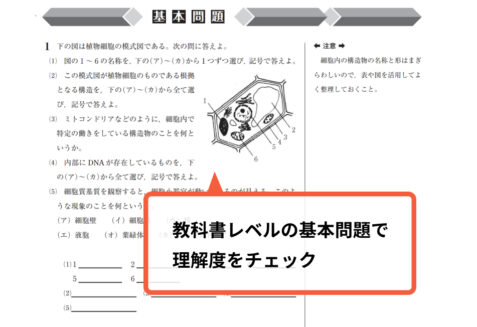 大学現役合格サポート生物基礎 基本問題