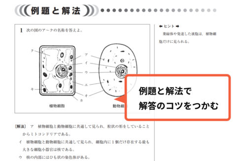 大学現役合格サポート生物基礎 例題と解法